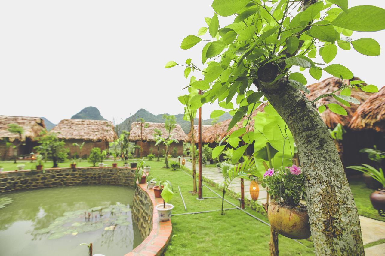 Tam Coc Rice Fields Resort Ninh Binh