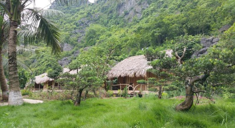 Buffalo Eco Garden 2* Ninh Binh