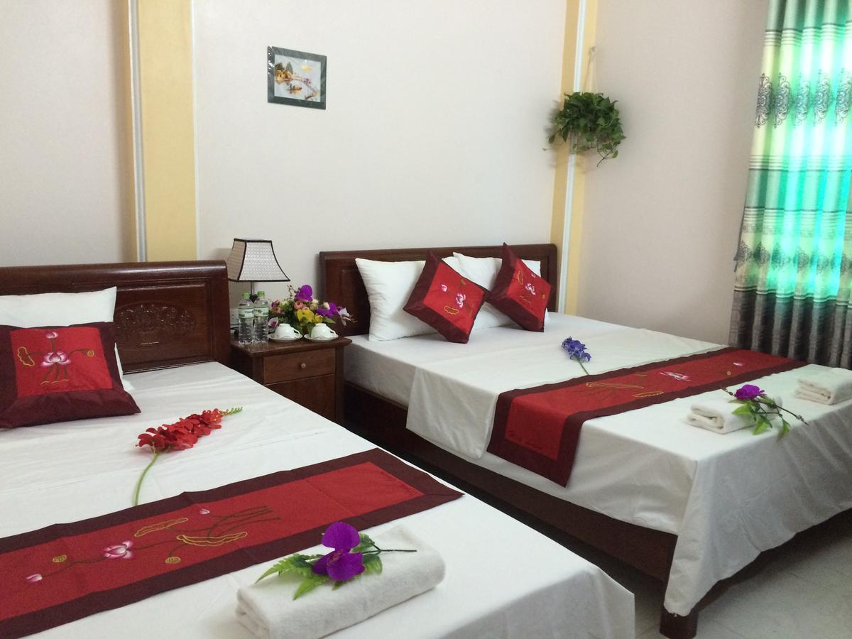 Hoa Luan Hostel