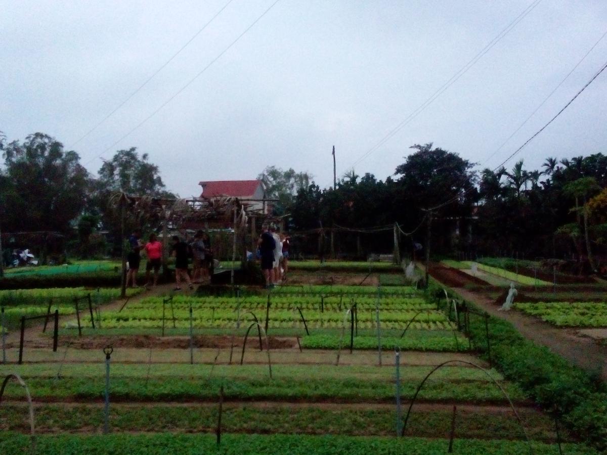 Ở trọ An Bang Town Hội An