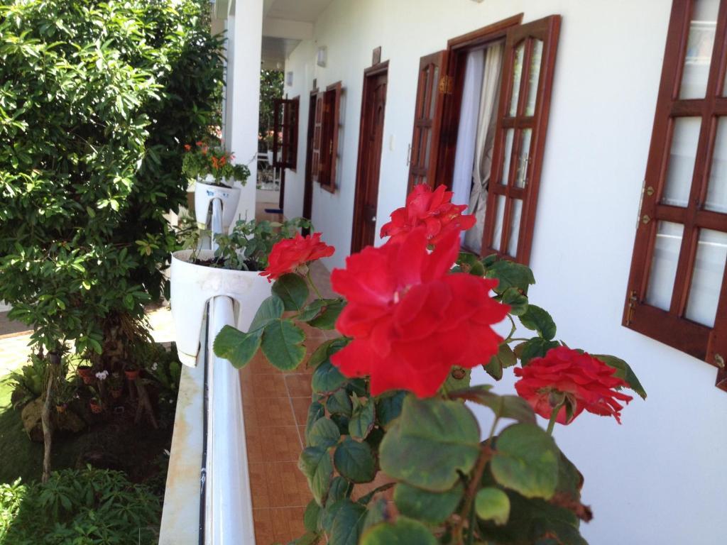 Suncosy Hotel 3*