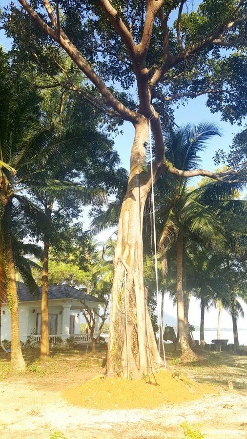 Luna Beach Guest house Phu Quoc