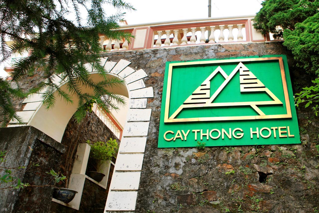 Cay Thong