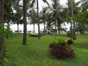 Sunshine 2* Mui Ne