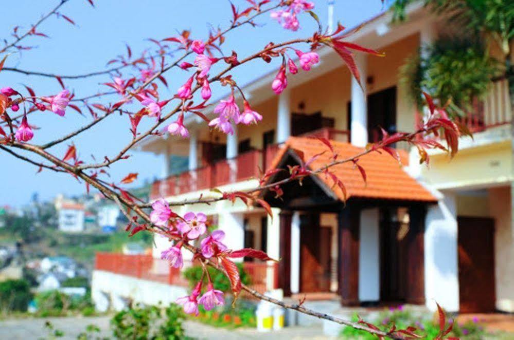 Belvedere 4* Tam Dao