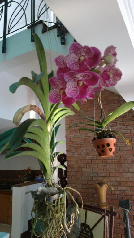 Flower Garden Ở trọ *
