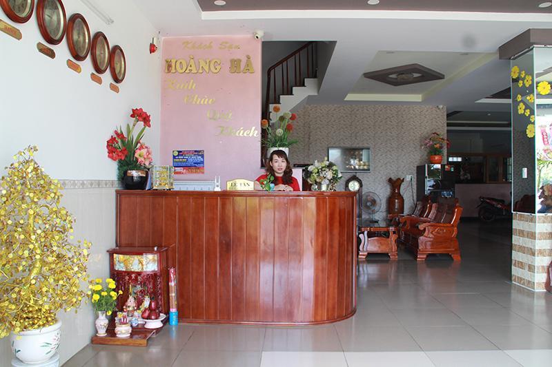 Hoang Ha *
