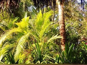 Freedomland Phu Quoc