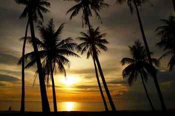 Resort Terrace Phu Quoc