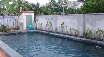 Gingergrass Hoi An
