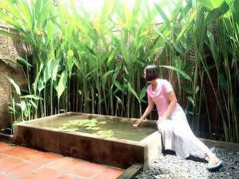 Mekong Ecolodge Hotel Cai Lay