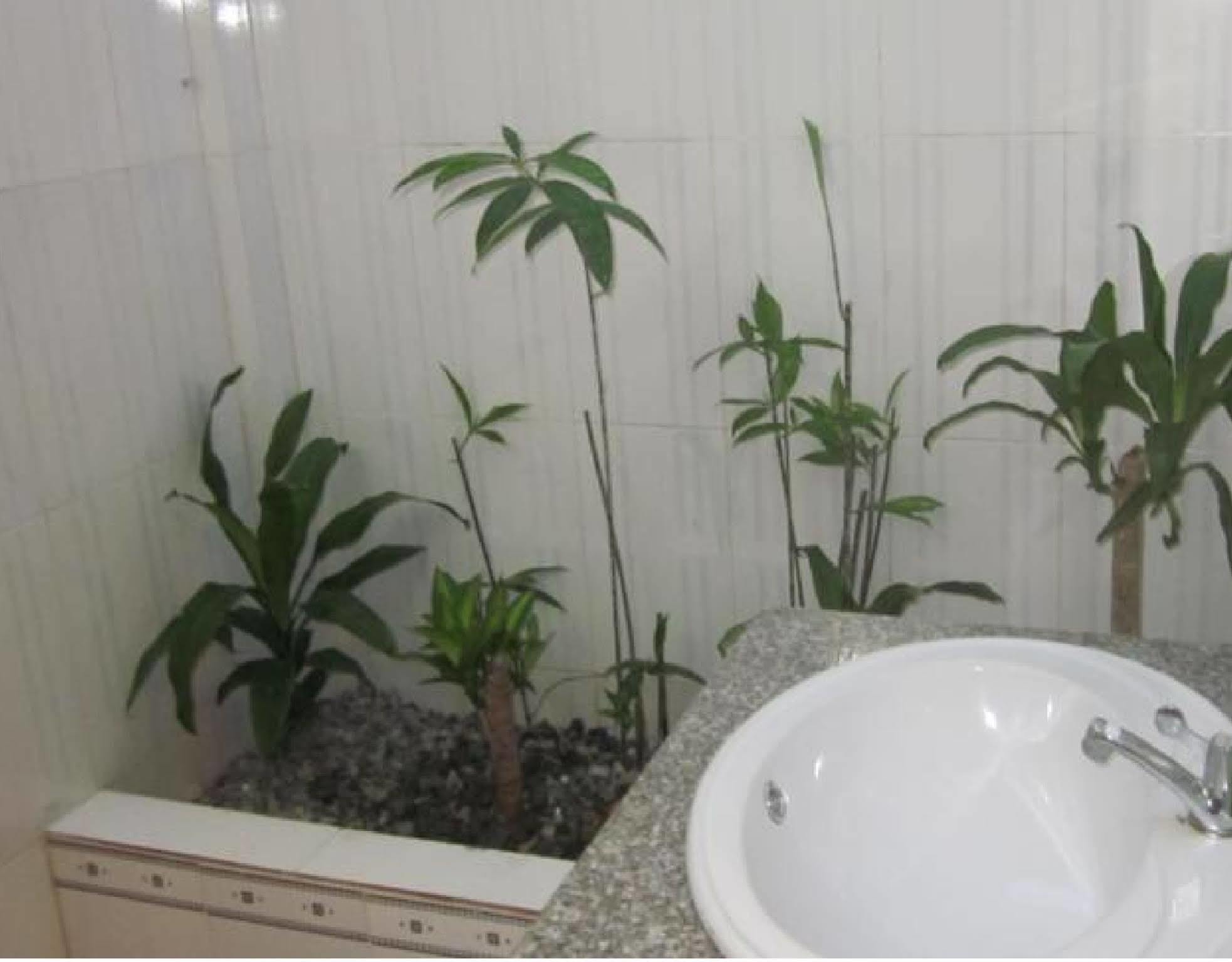Sea Living Hostel Phu Quoc