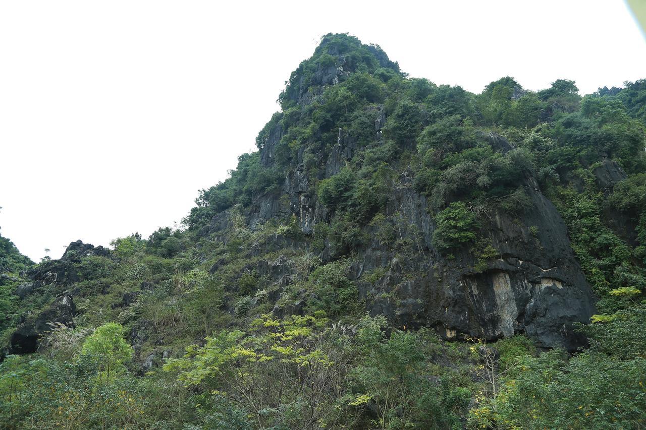 Gold 2* Phong Nha