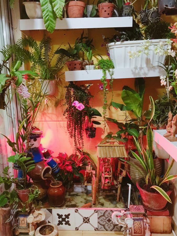 Apartment Homestay At Dream House *