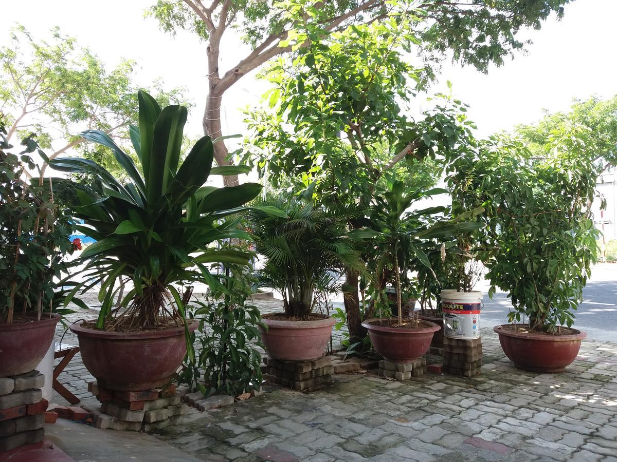 Thai Binh 2*
