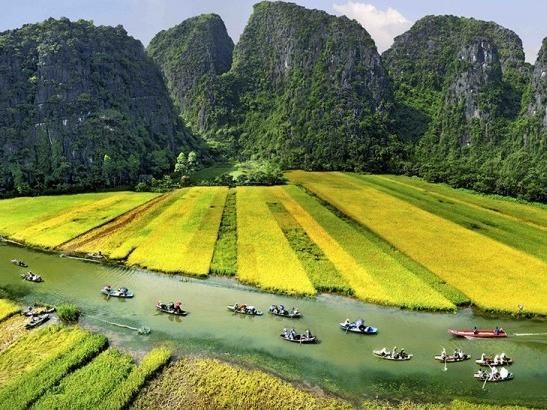 Hotel Cozy Son Ninh Binh