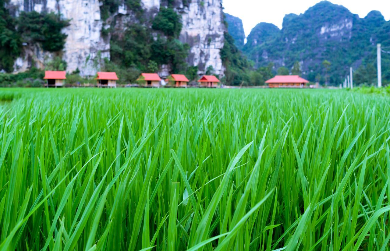 Resort Trang An Tam Gia Trang *