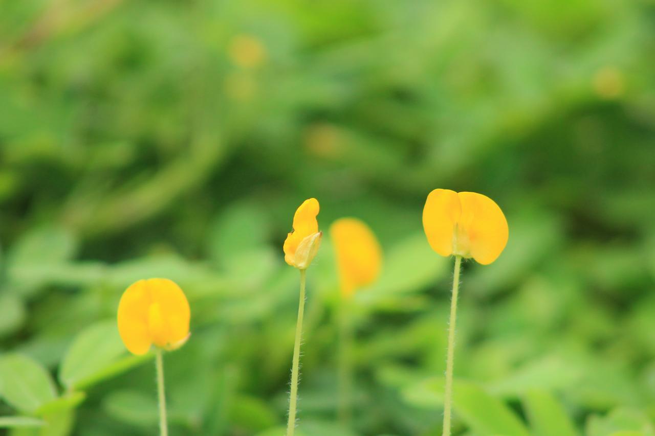 Cuc Phuong Mineral Retreat 4*