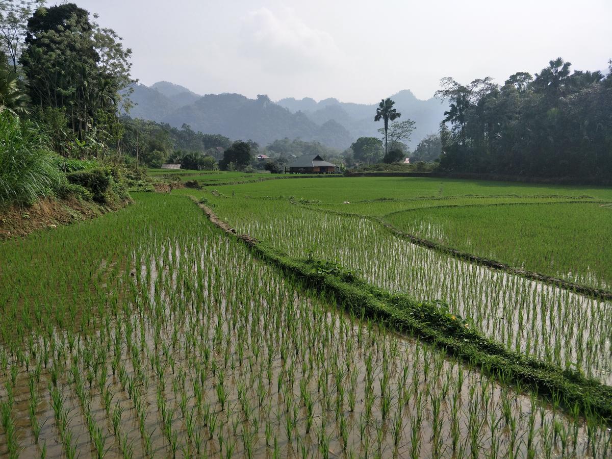 Ngan Ha Homestay