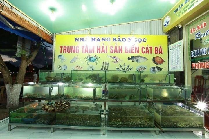 Bao Ngoc 3* Dong Khe Sau