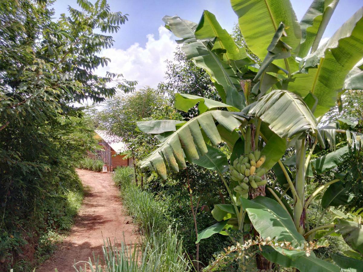Lak Tented Camp Lien Son
