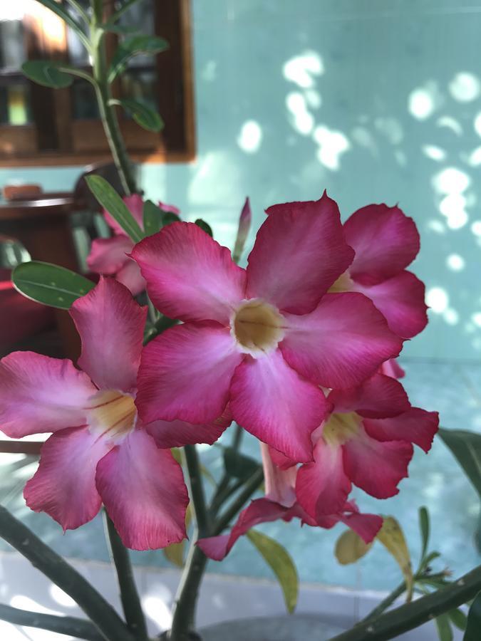 Anh Linh * Mui Ne