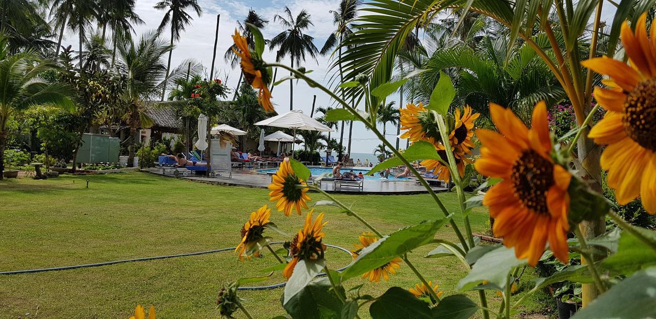 Dưỡng Bãi Biển Sun&sands