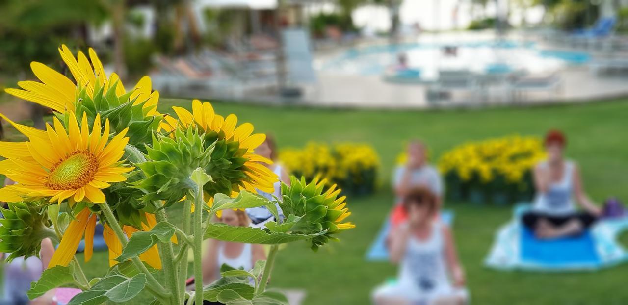 Khách sạn Dưỡng Bãi Biển Sun&sands 3*
