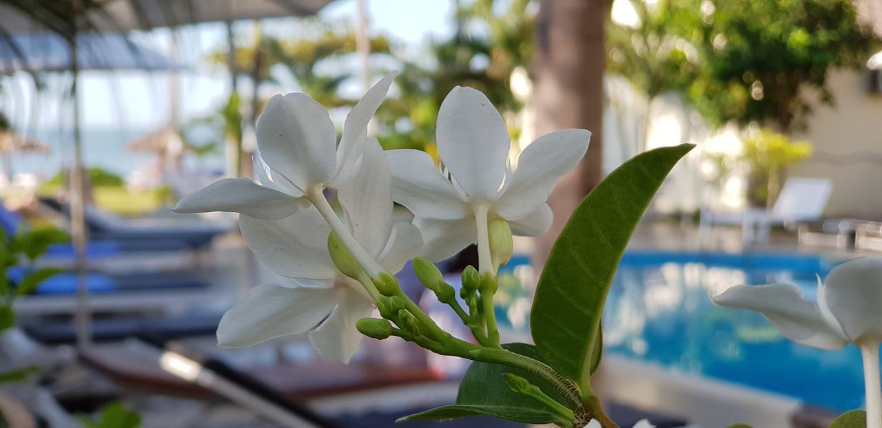 Dưỡng Bãi Biển Sun&sands Khách sạn 3*
