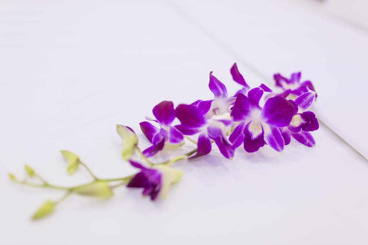 Hotel Summer Da Nang