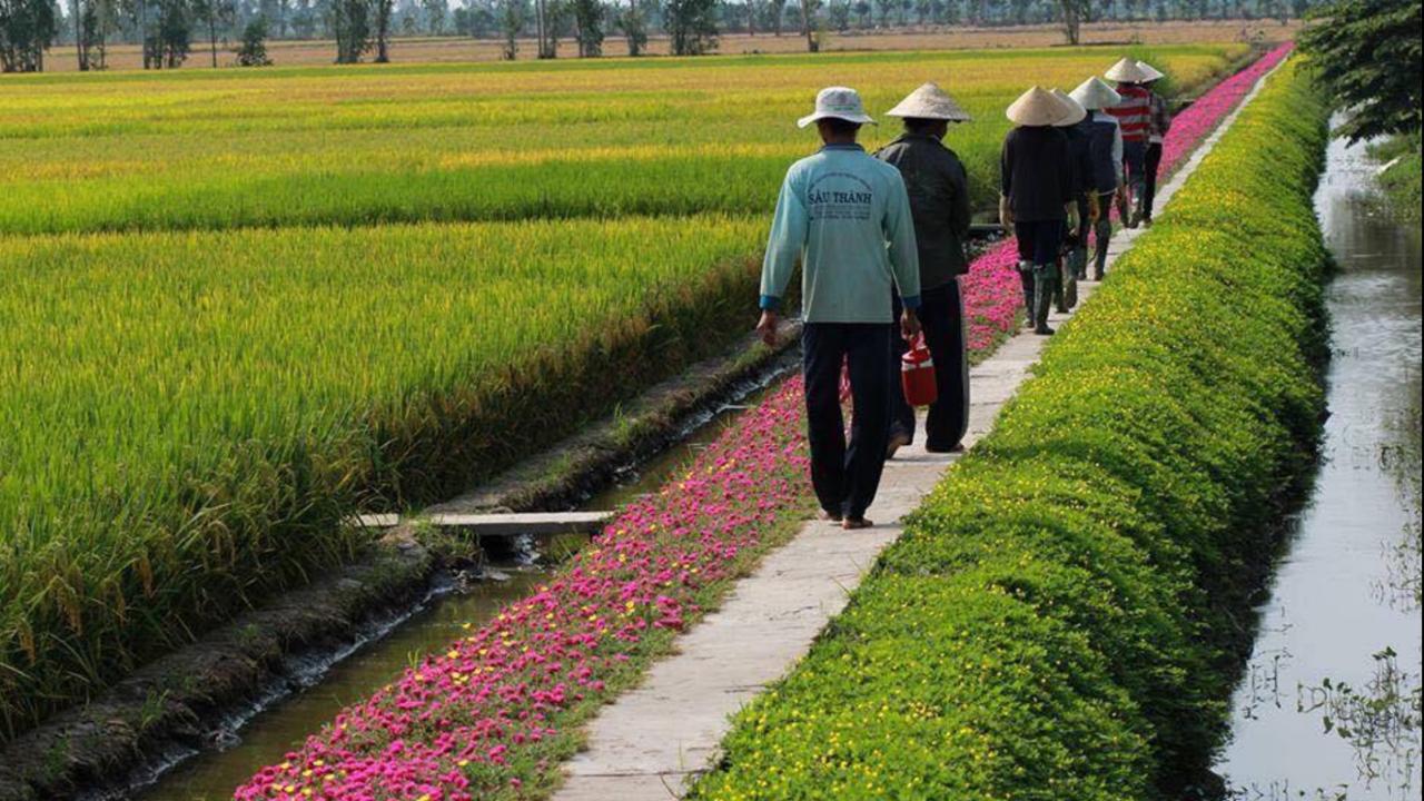 Nhà Dân Flame Flowers Ở trọ *