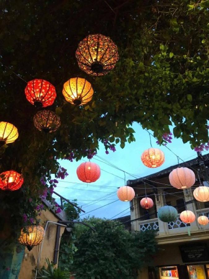 Ở trọ Nhà Dân Flame Flowers