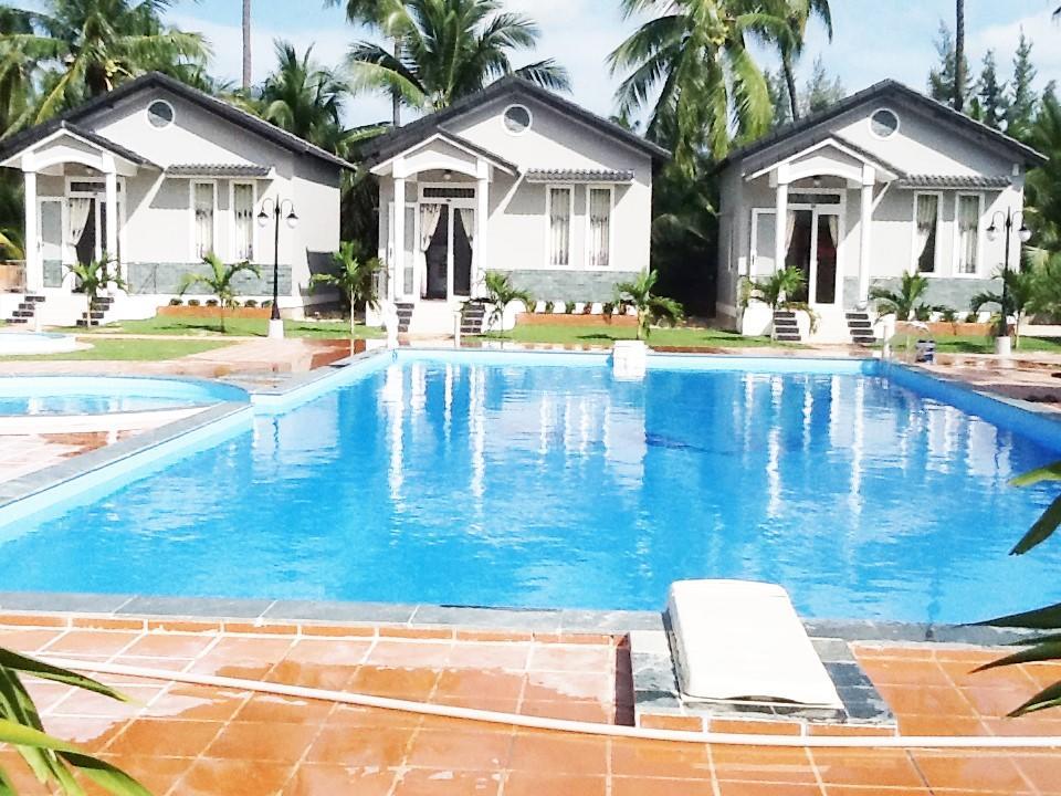 Areca Cây Cau Mũi Né