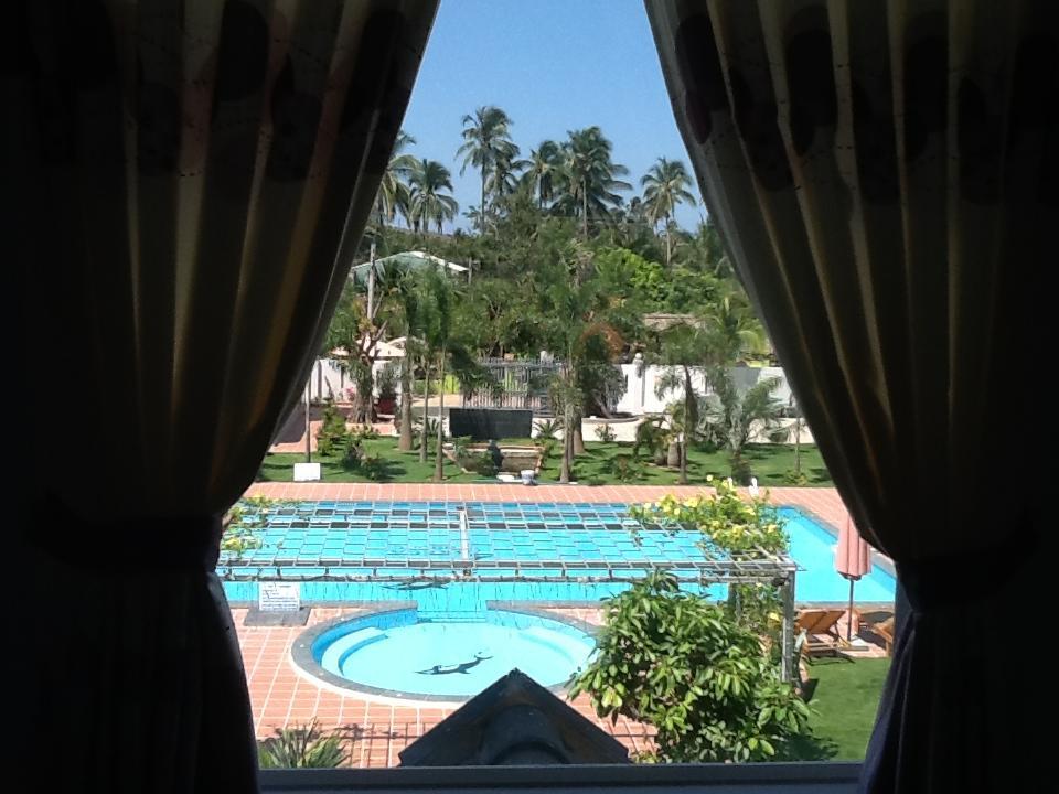 Areca Cây Cau