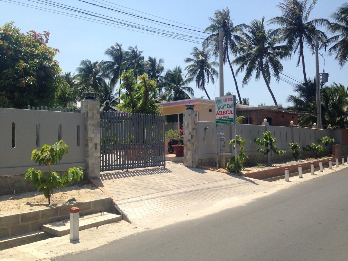 Areca Cây Cau