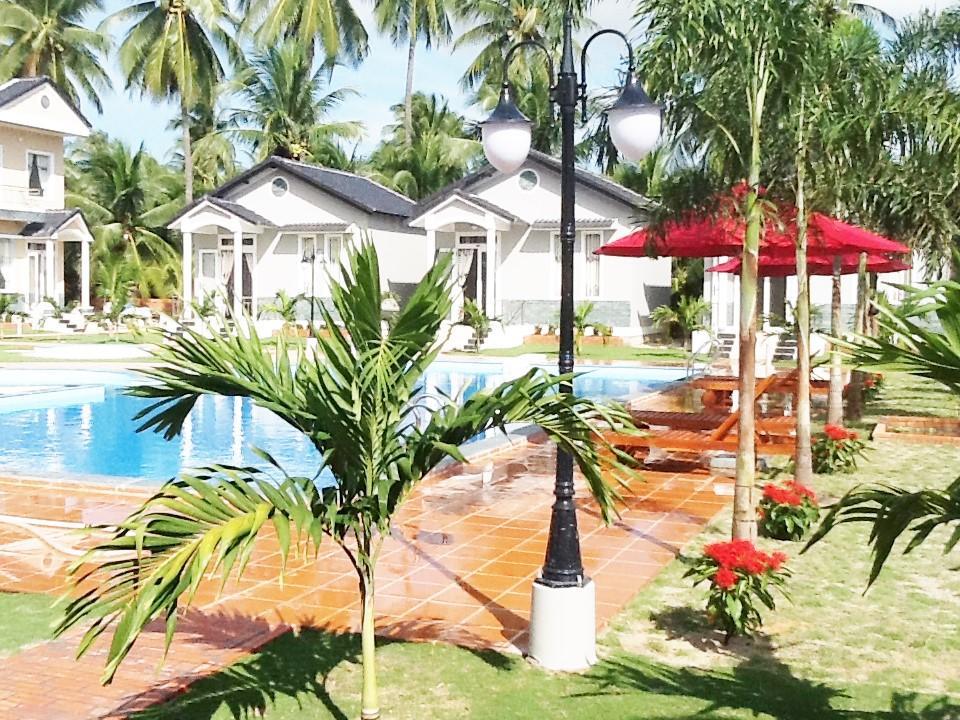 Areca Cây Cau