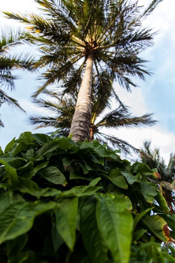 Joe's Seaside Boutique Resort Mui Ne