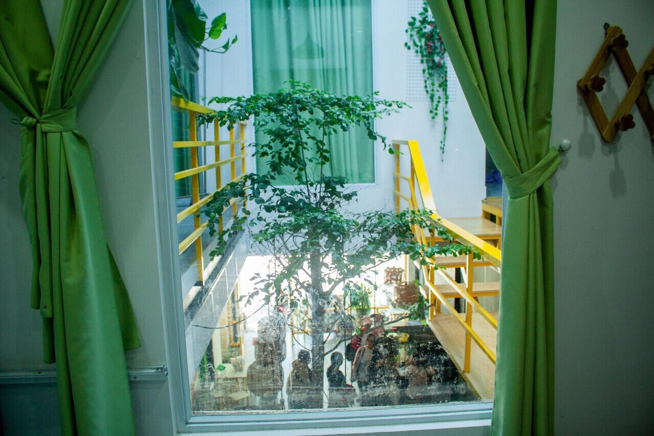 Homestay Lan Anh 3 *