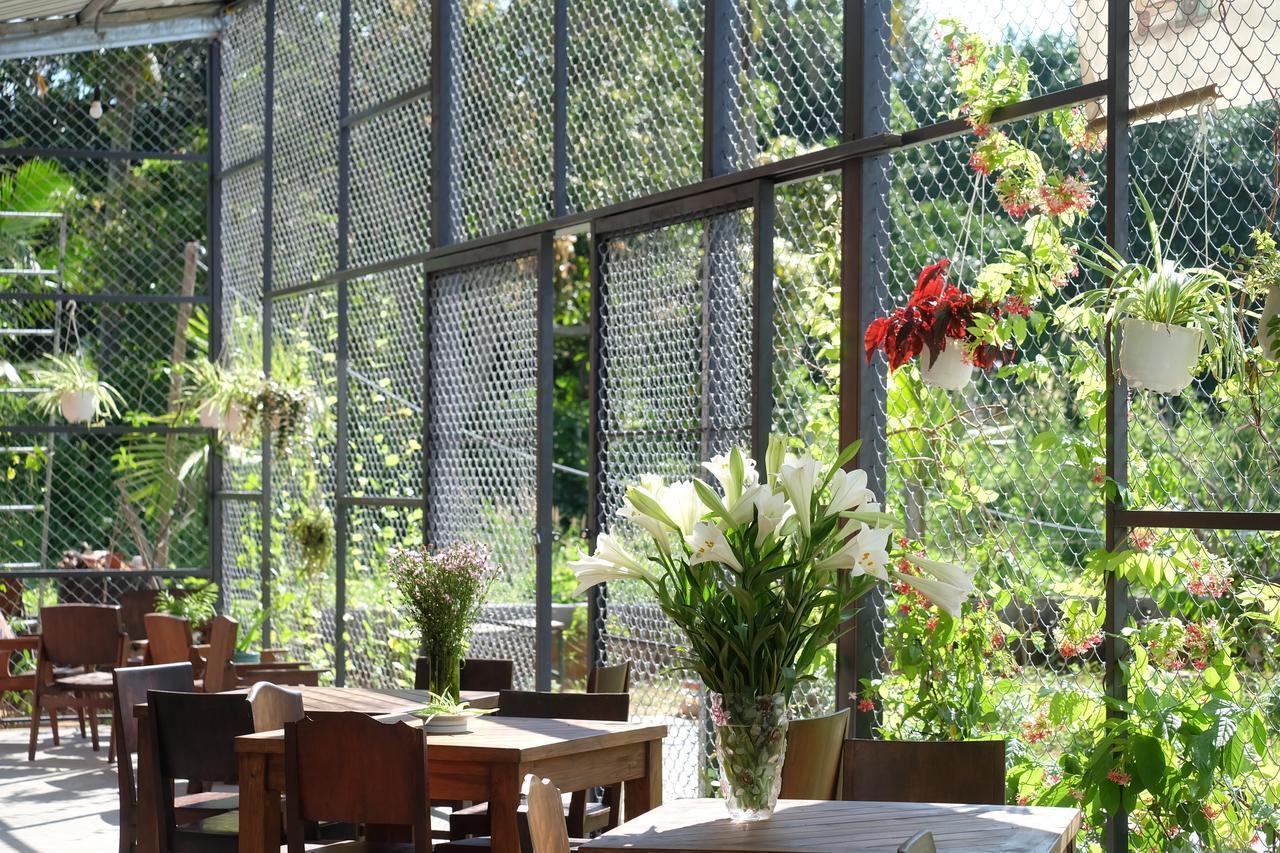 Lana Land Hostel
