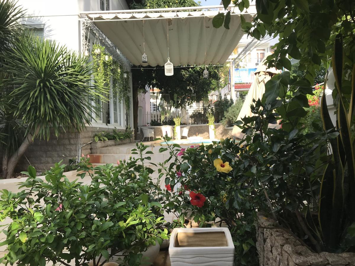 Villa Nancy Minh Vung Tau