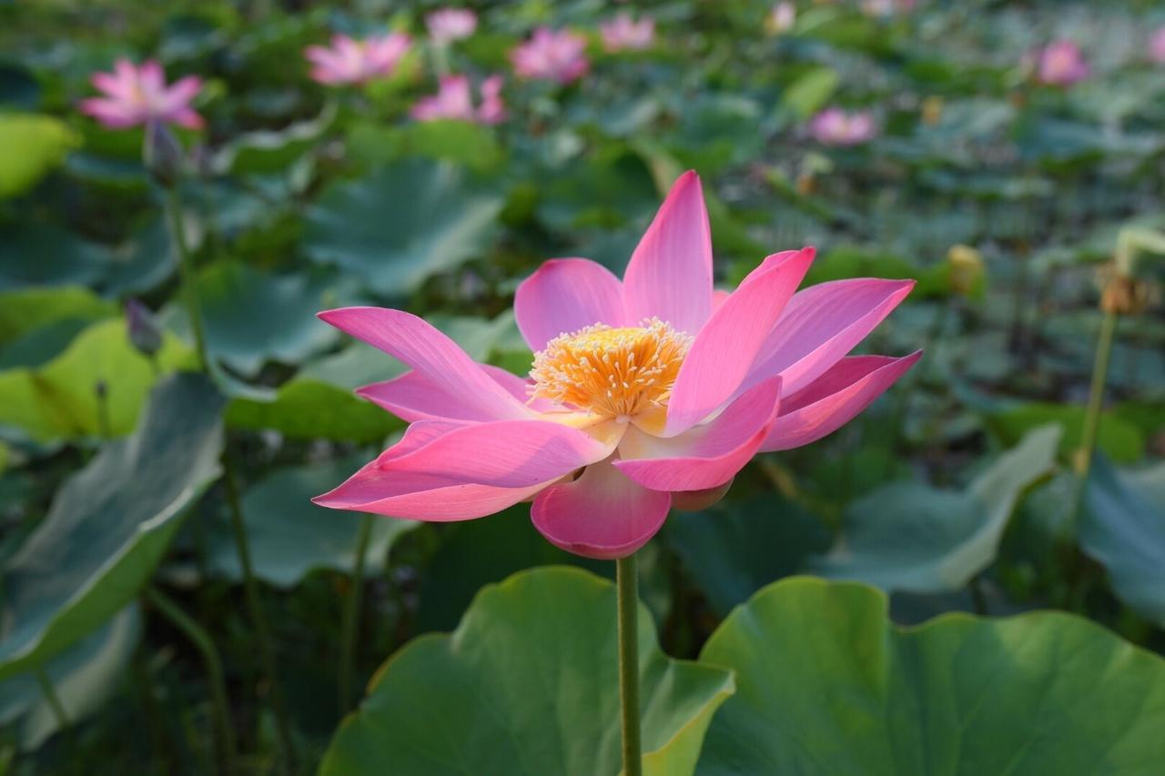 Gia Hung Khách sạn 3*
