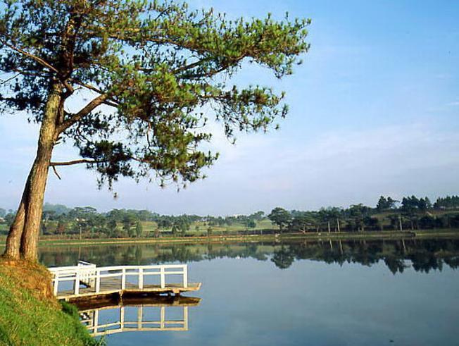Nga Hoang