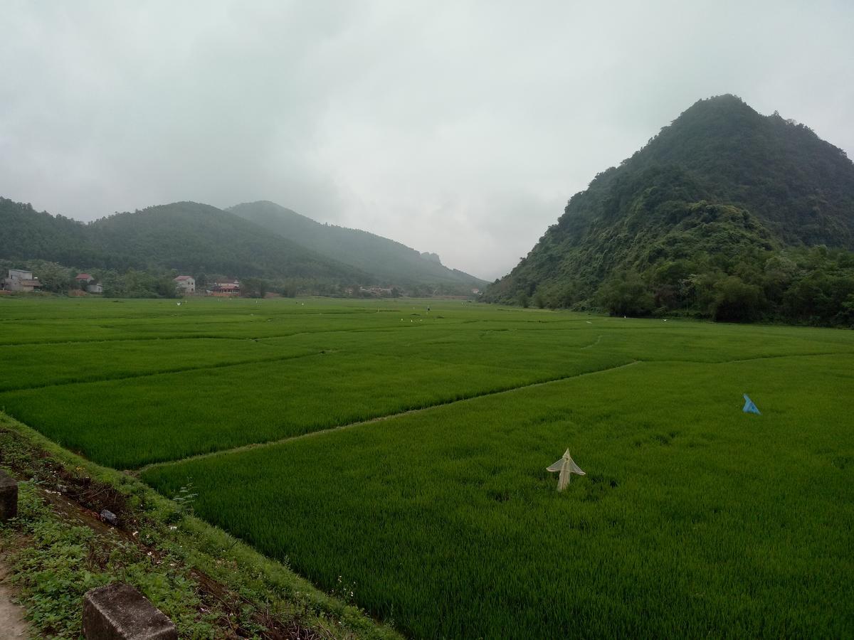 Rice Field Lodge *