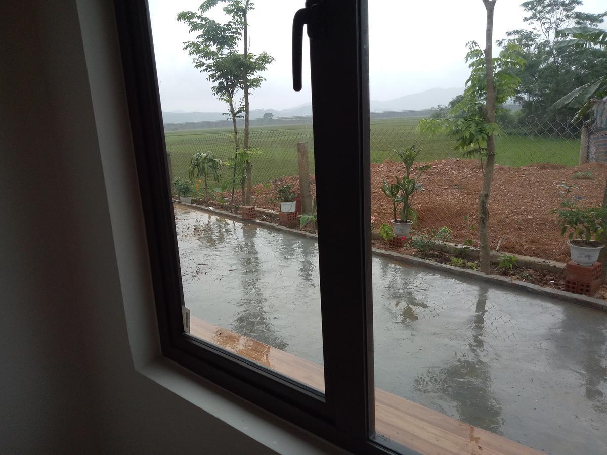 Rice Field