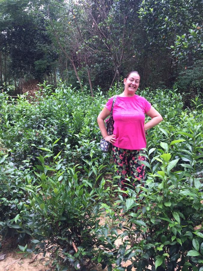 Rice Field Lodge Phong Nha
