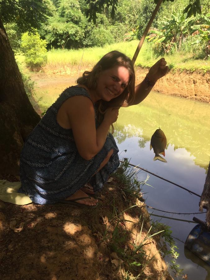 Rice Field Lodge Phong Nha