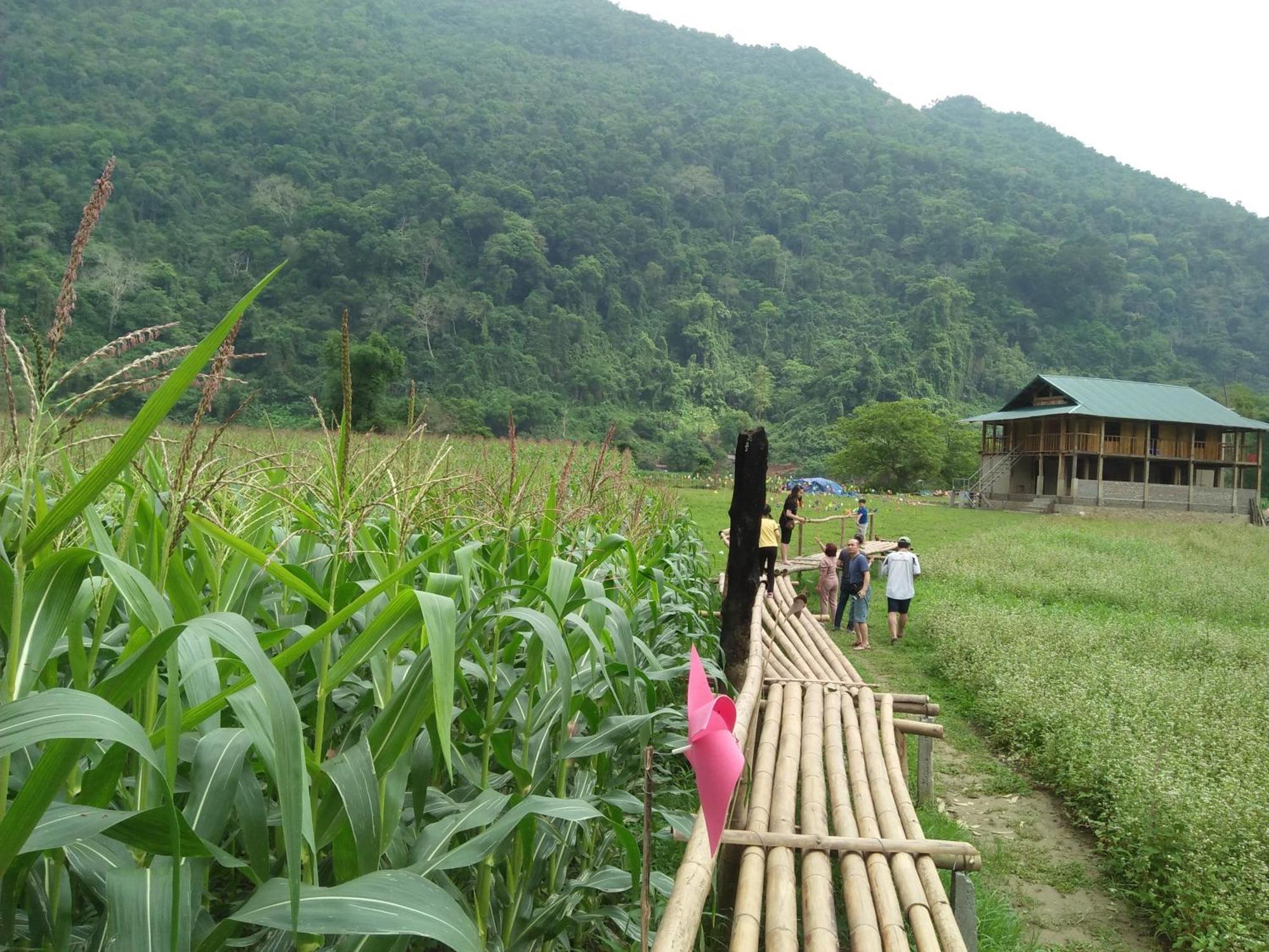 Tran Xuan * Ba Be
