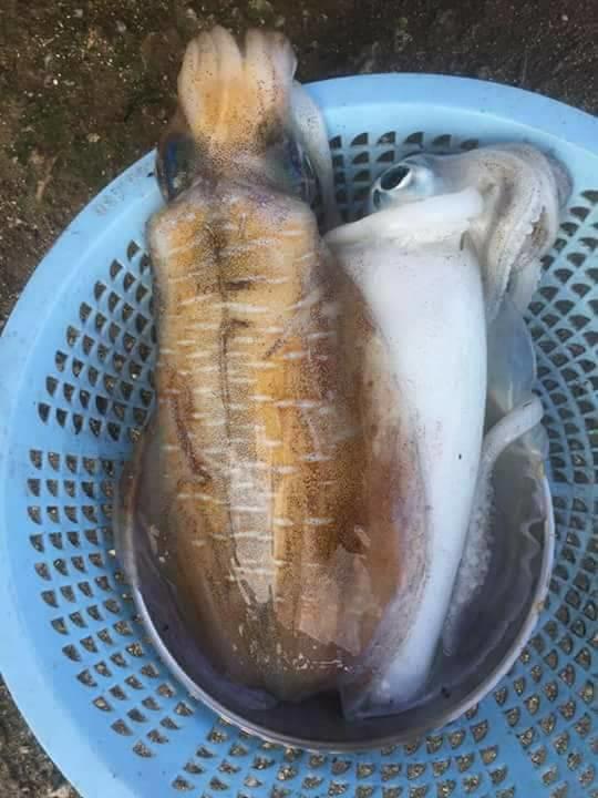 Khach San Quynh Anh Ly Son