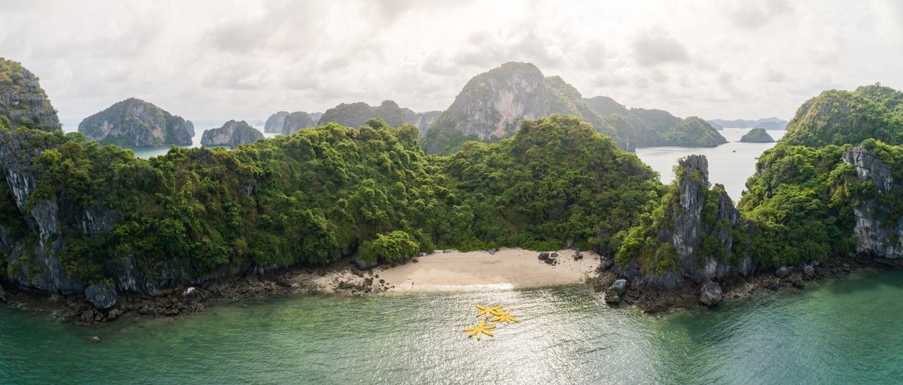 Swan Cruises Halong 4*