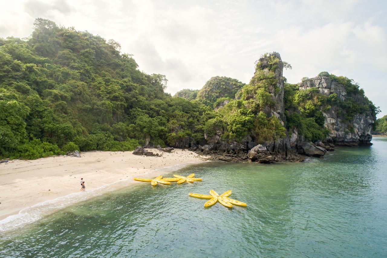  Swan Cruises Halong 4*